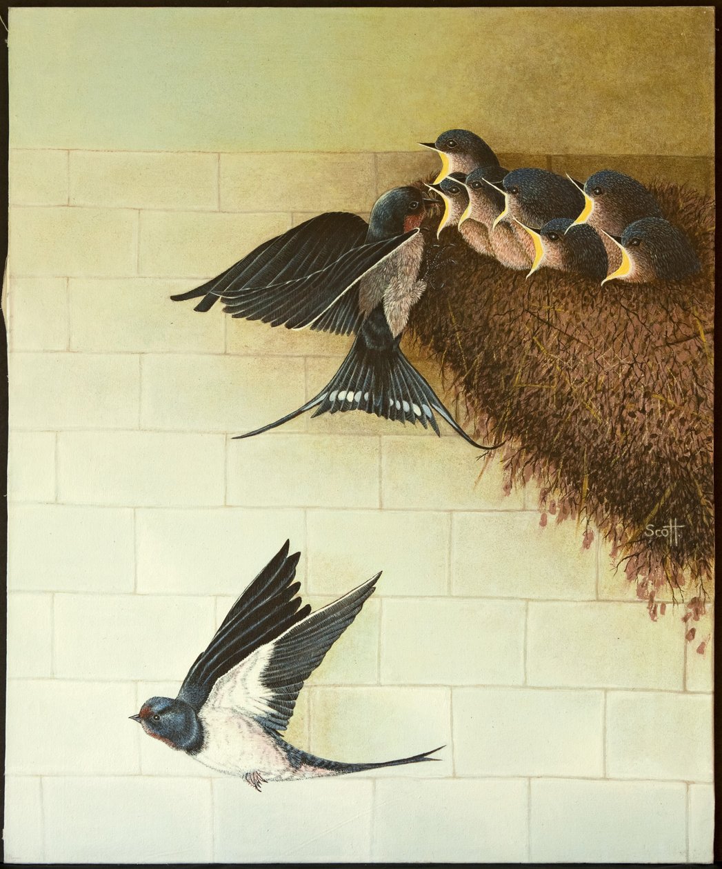  by Pat Scott