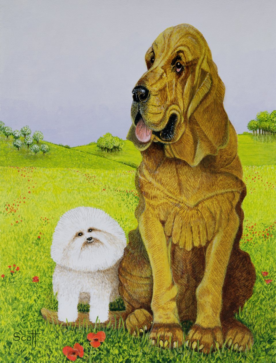  by Pat Scott