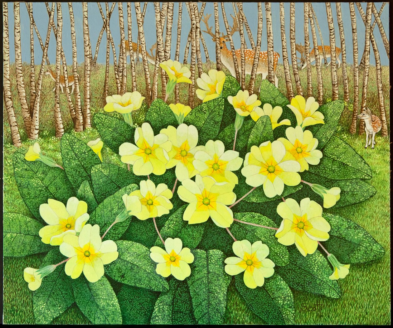  by Pat Scott