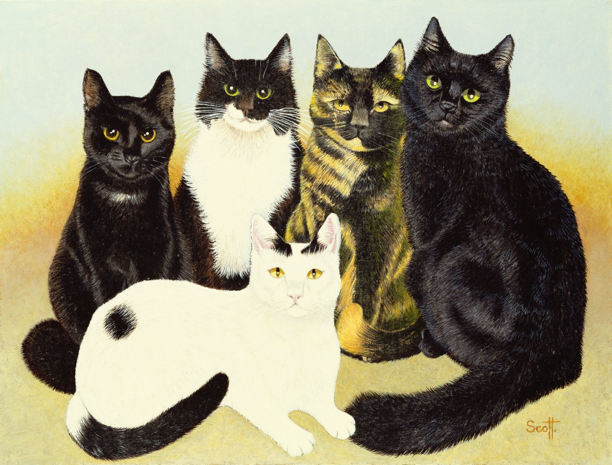  by Pat Scott