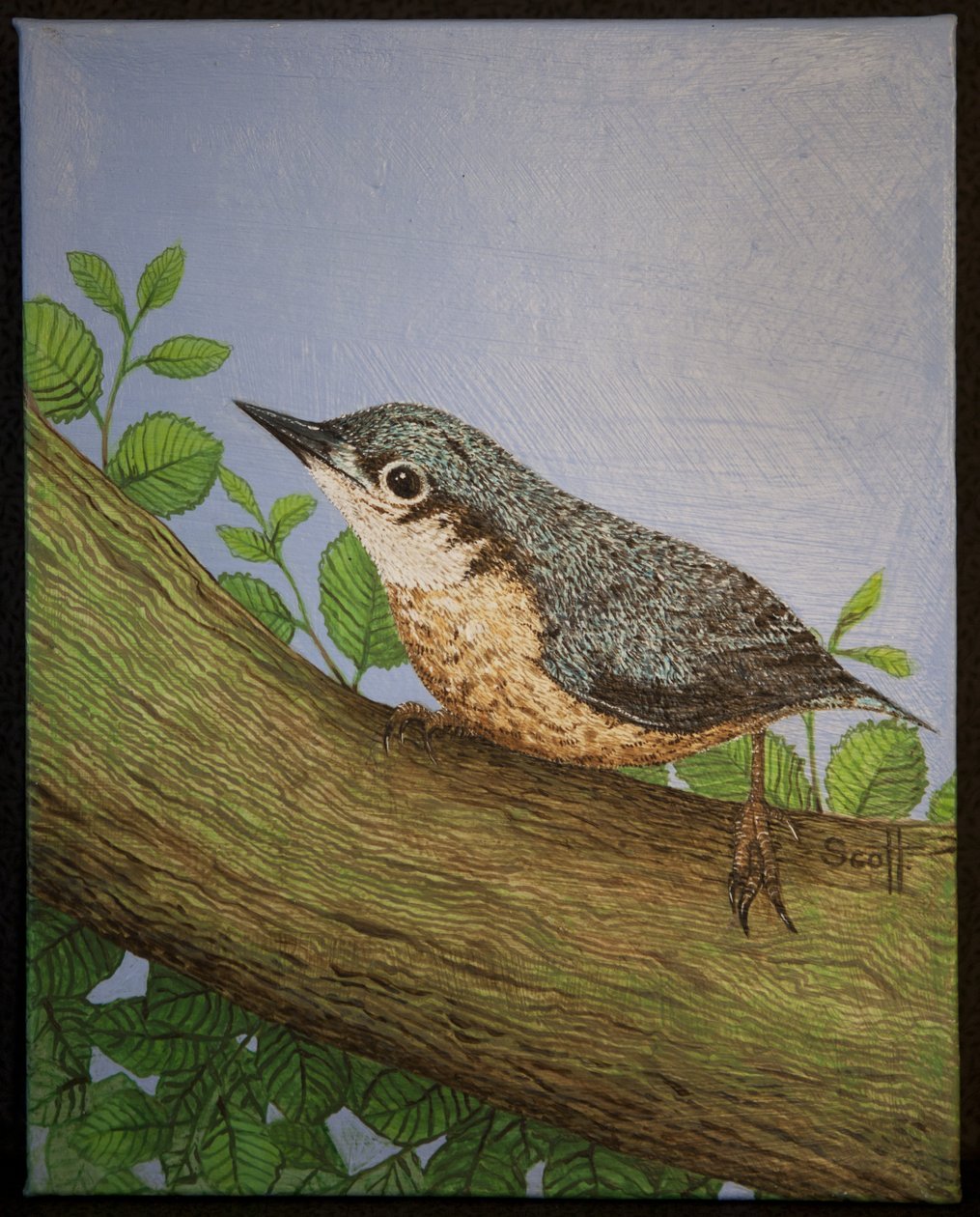  by Pat Scott