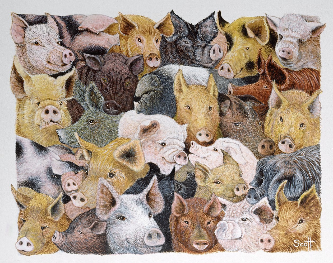  by Pat Scott
