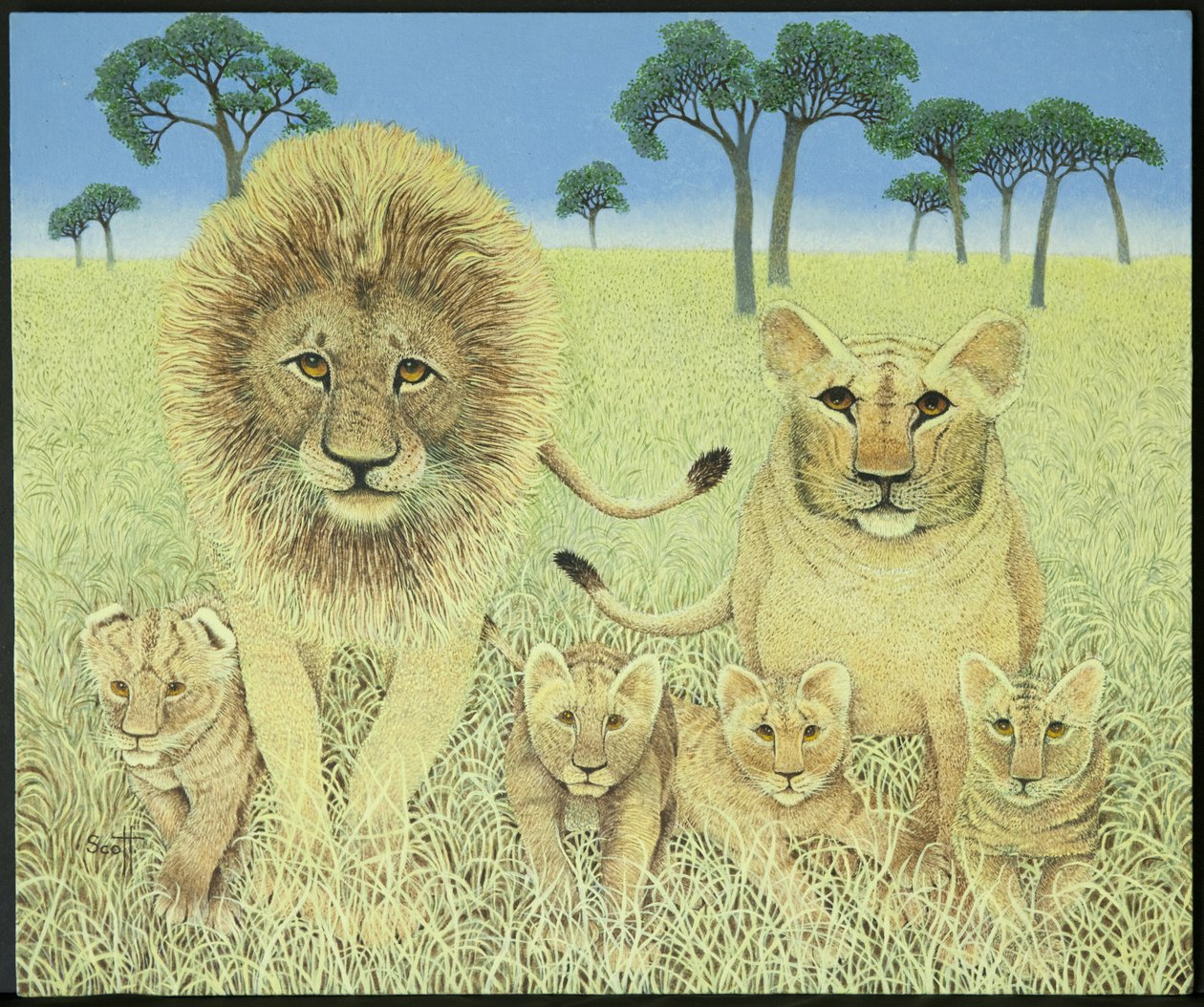 by Pat Scott