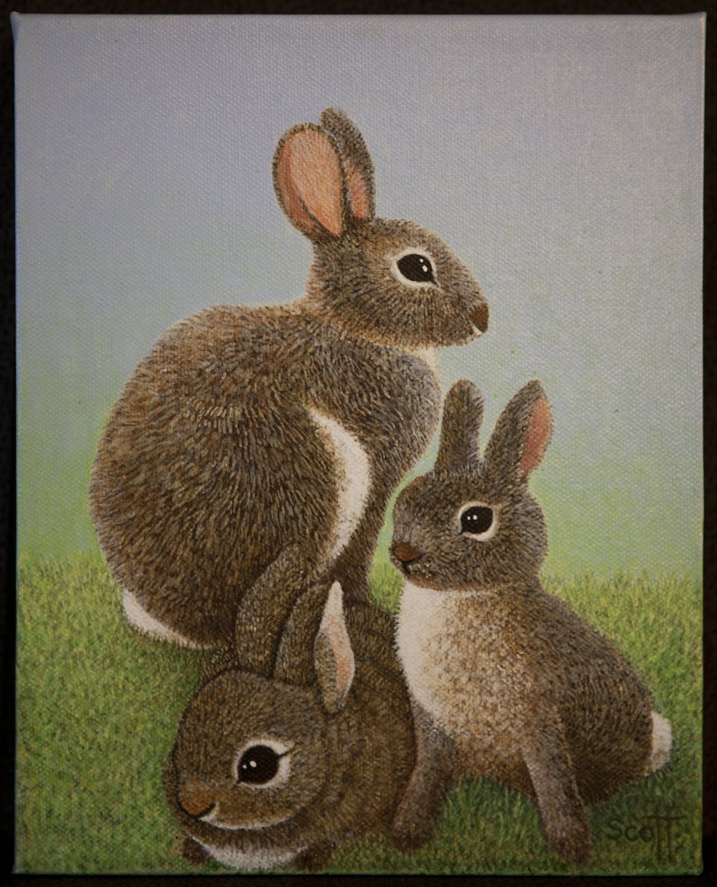  by Pat Scott
