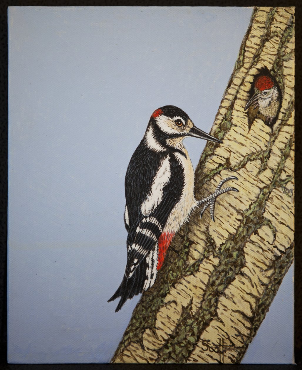  by Pat Scott