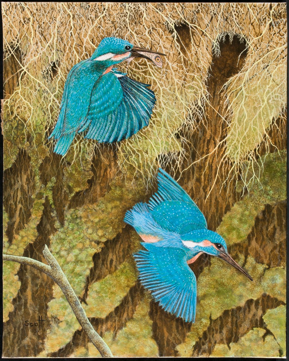  by Pat Scott