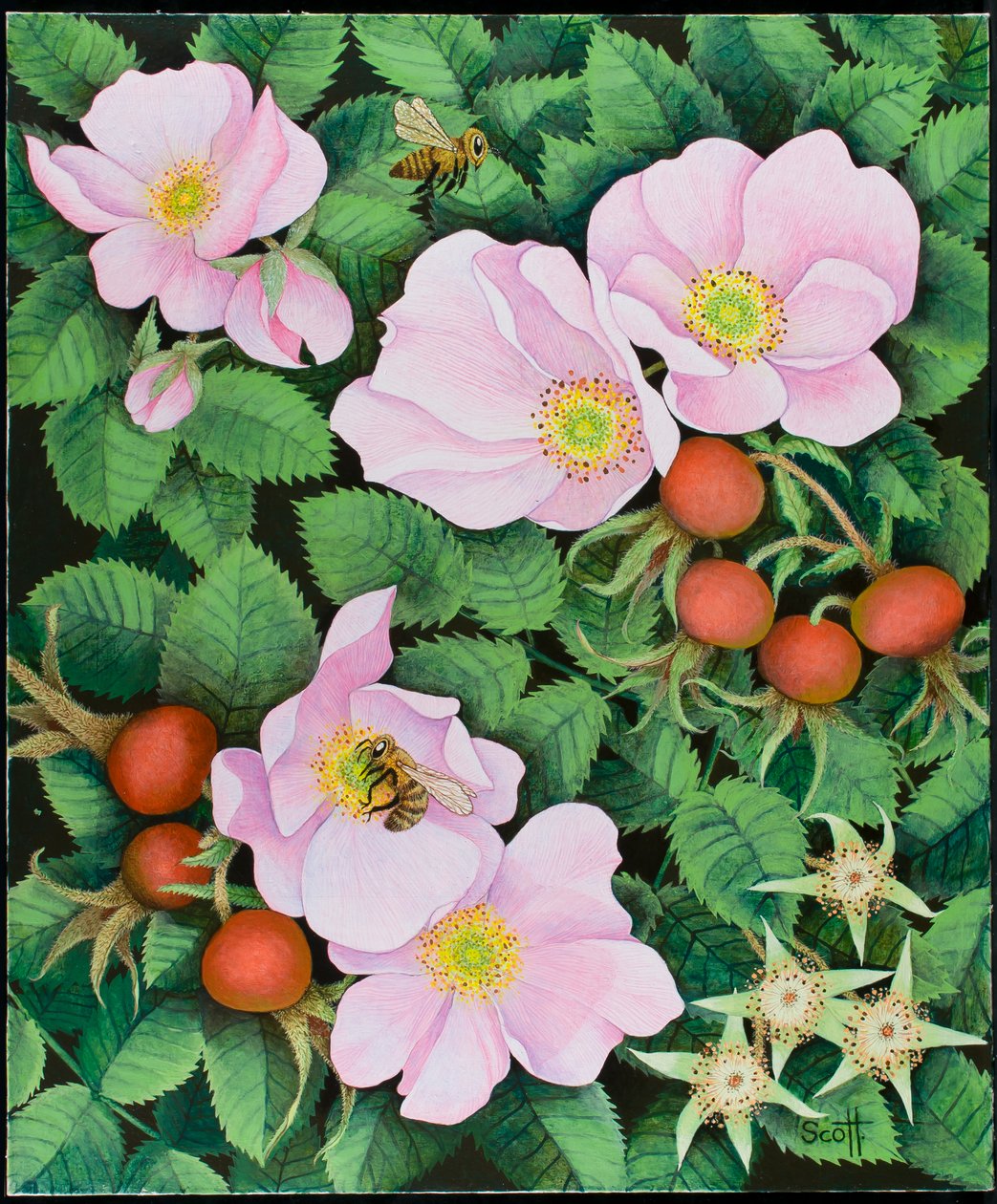  by Pat Scott