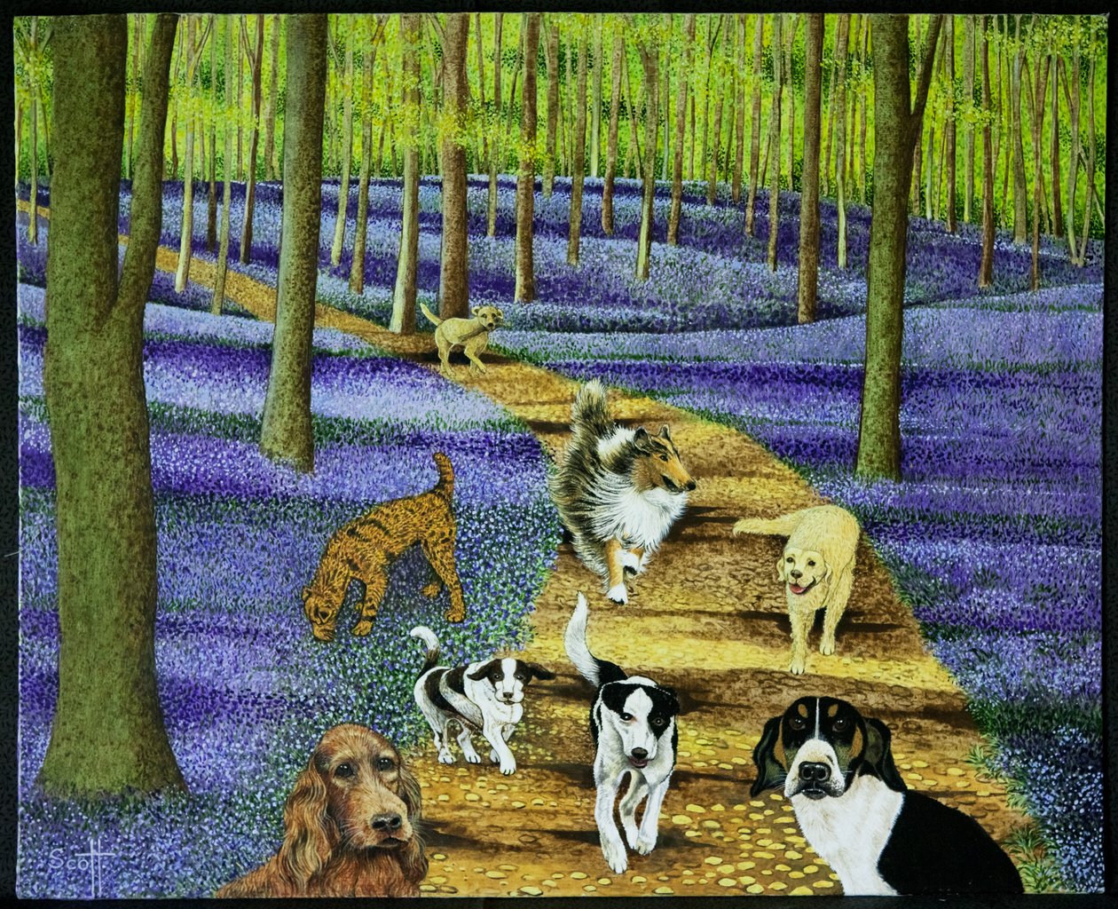  by Pat Scott