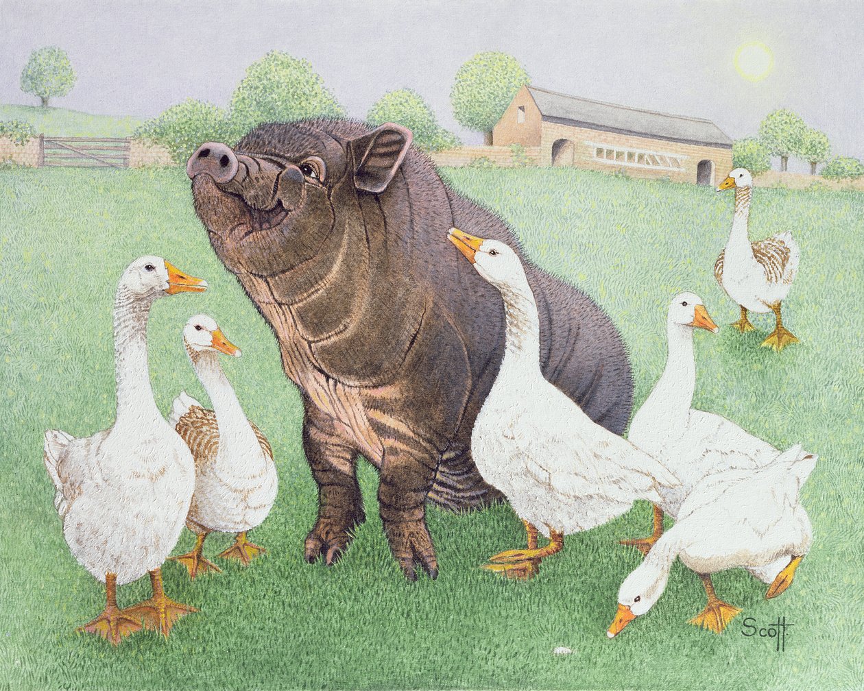  by Pat Scott