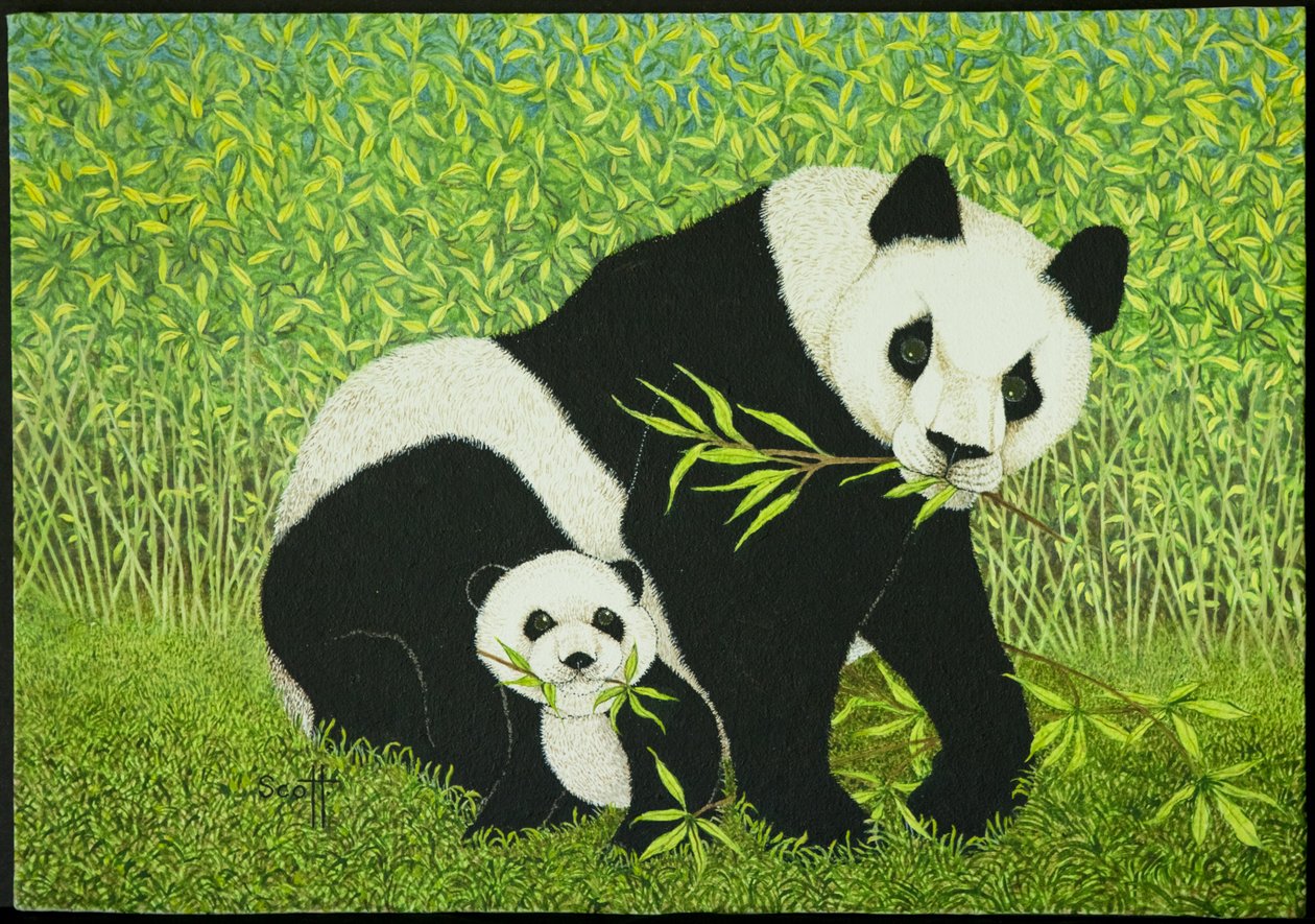  by Pat Scott