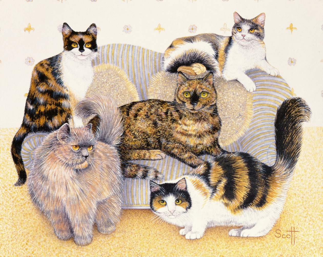  by Pat Scott