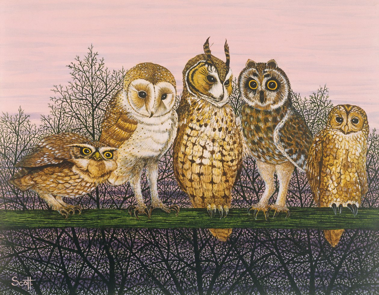  by Pat Scott