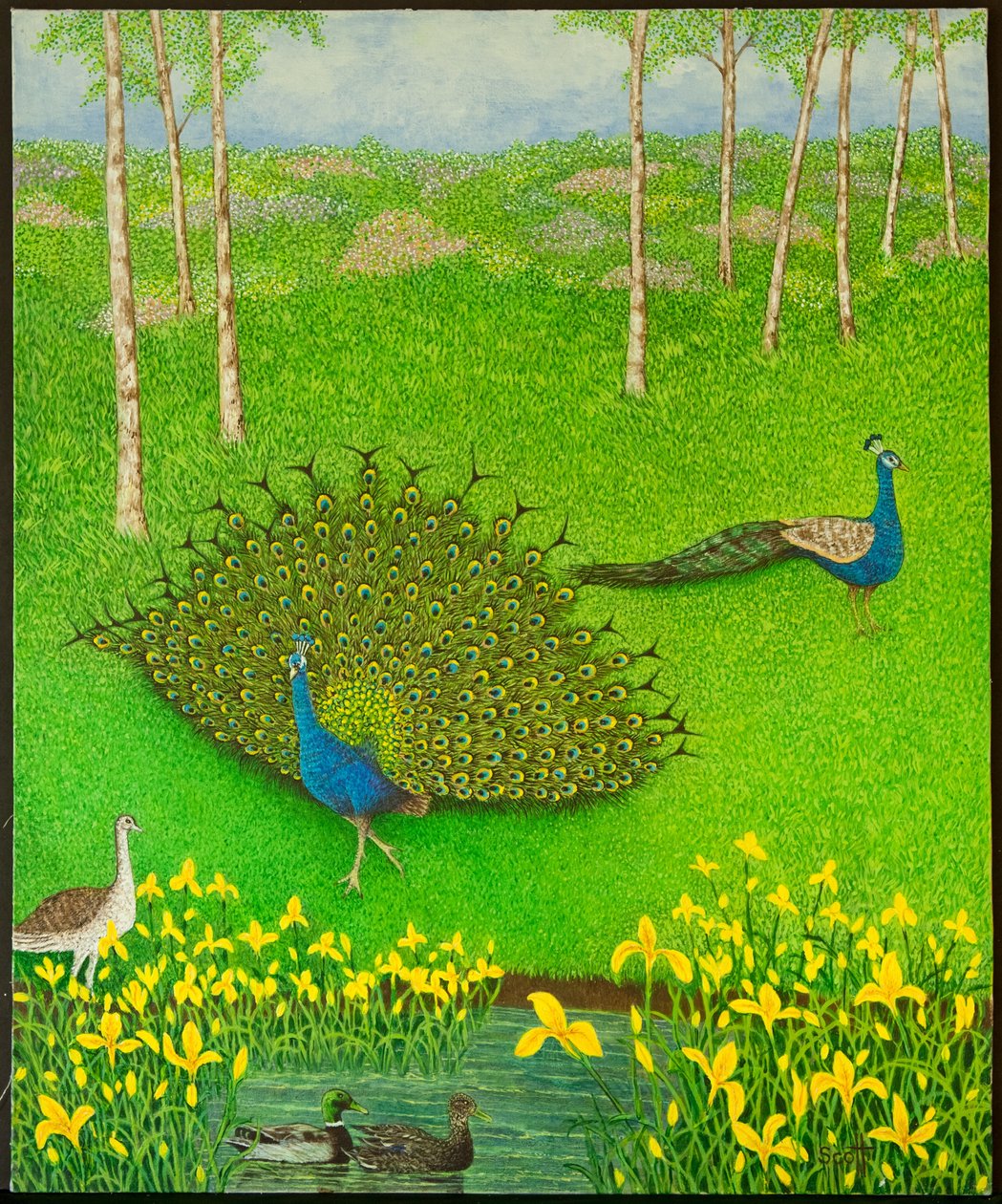  by Pat Scott
