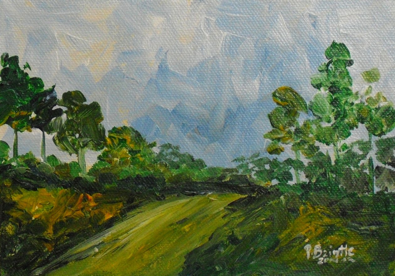 Tepeden aşağı, 2014 (tuval üzerine akrilik) by Patricia Brintle
