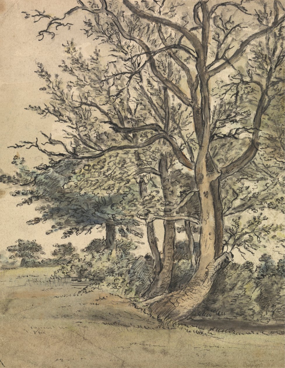 Regent's Park'ın bir parçası by Patrick Nasmyth
