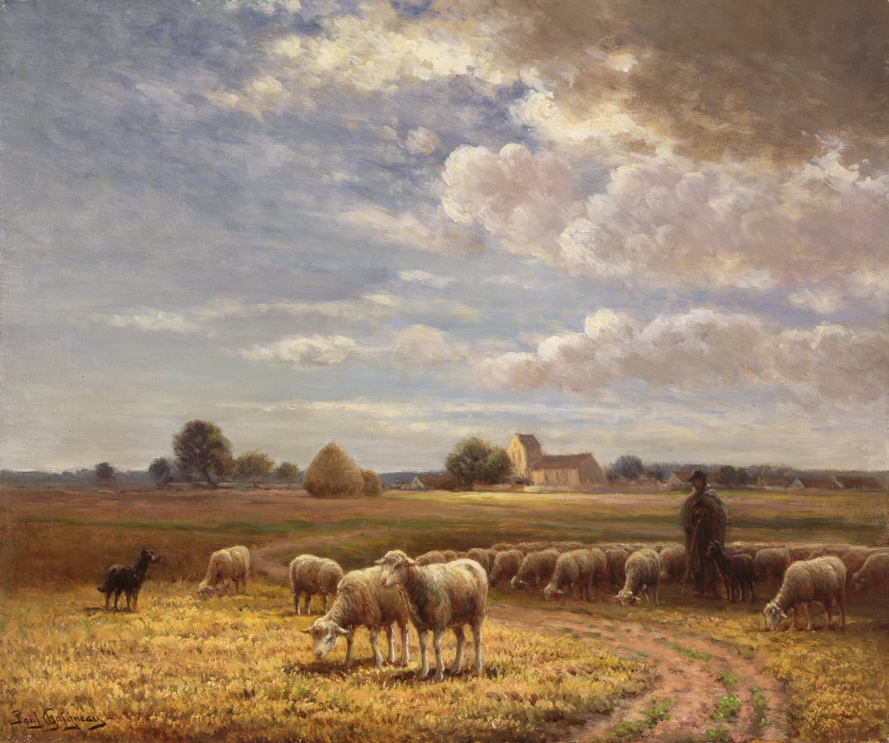 Sürü by Paul Chaigneau