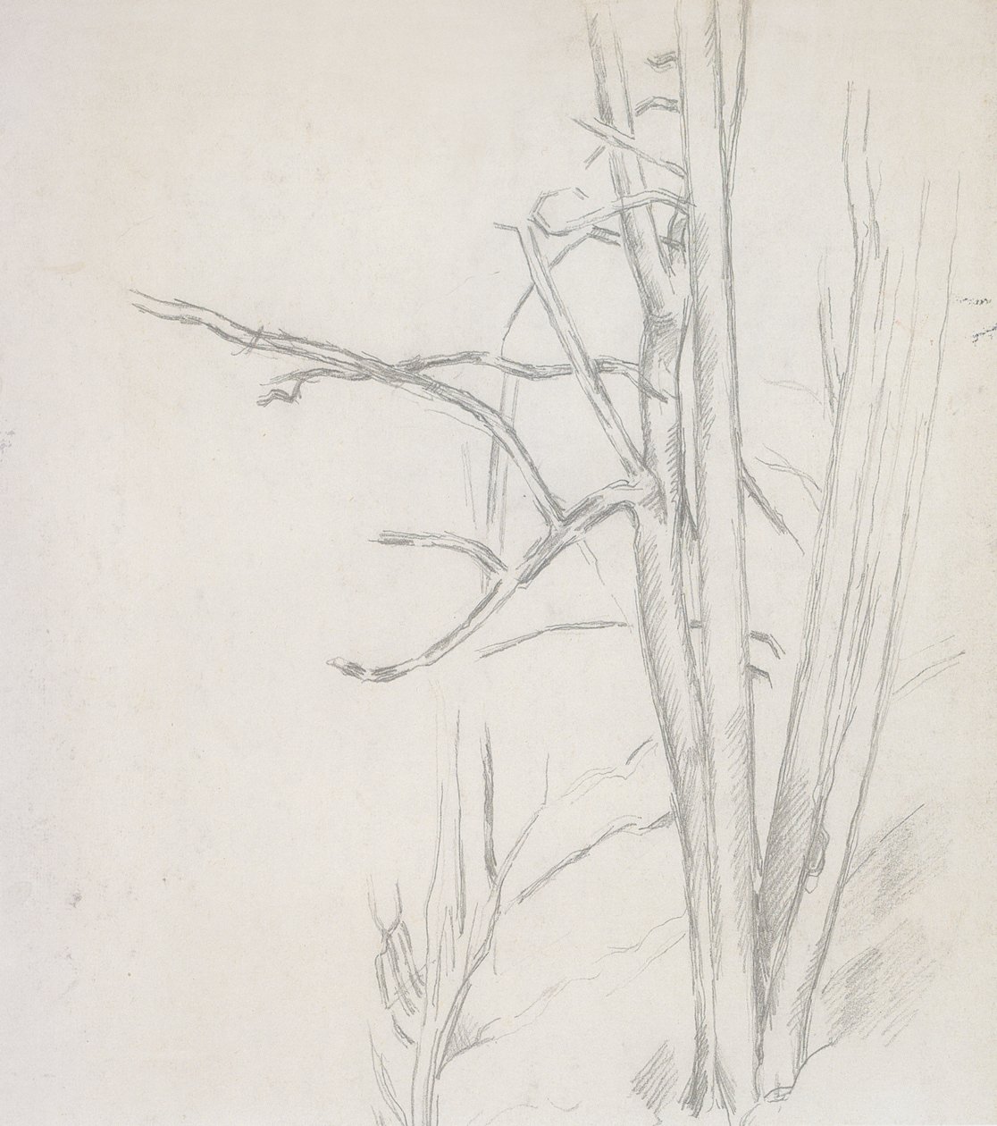 Ağaç çalışması by Paul Cézanne