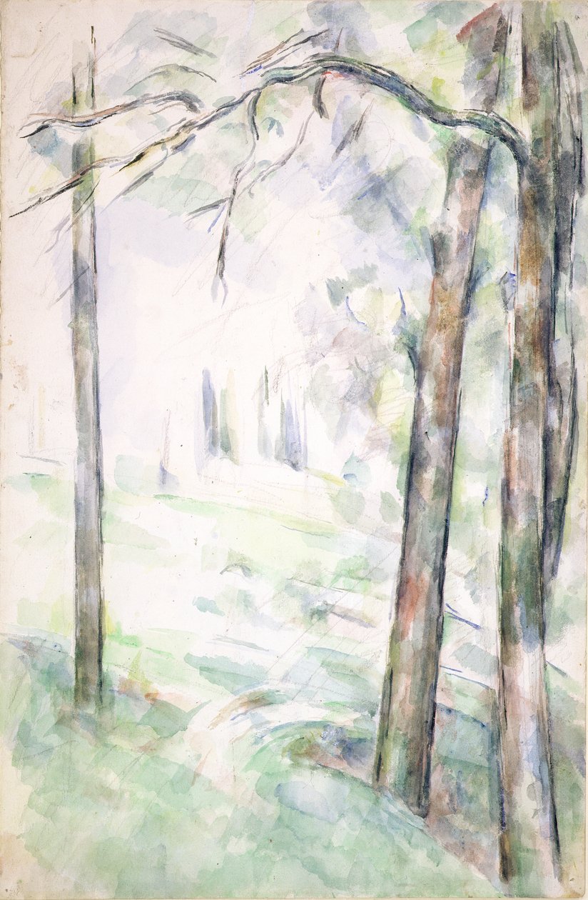 PD.6-1966r The Woods, Aix-en-Provence, c.1890 (wc ve tebeşir) by Paul Cézanne