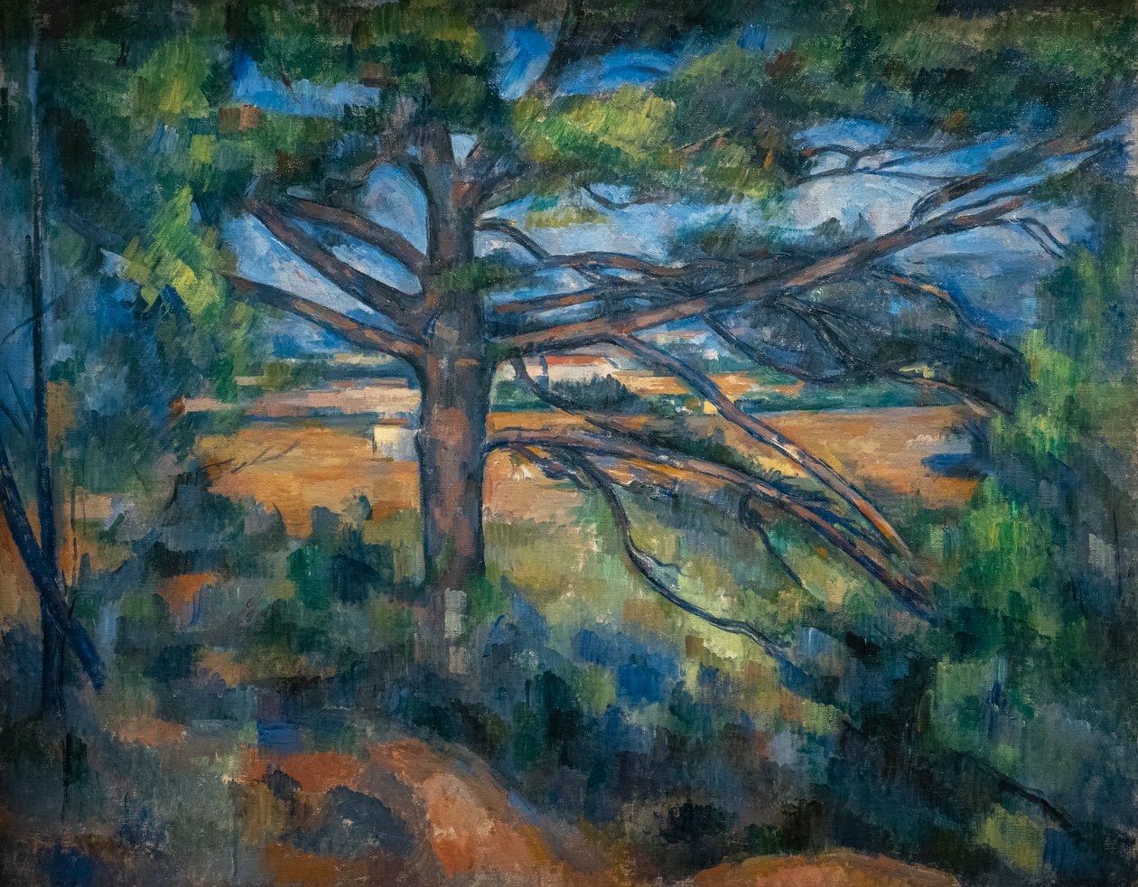 Aix yakınlarındaki Büyük Çam by Paul Cézanne