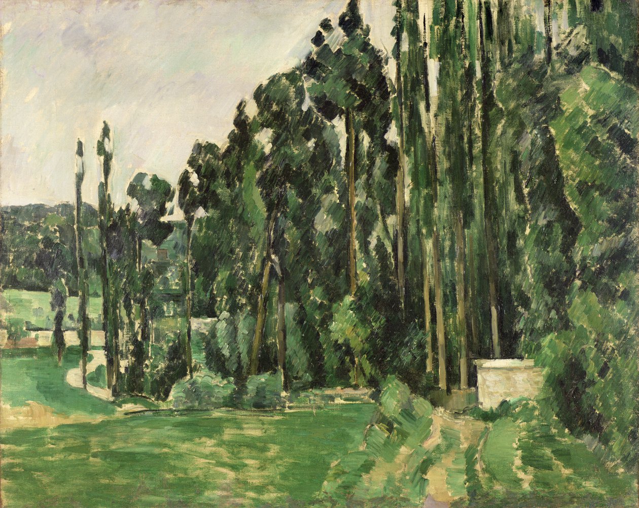 Kavaklar, c.1879-82 (tuval üzerine yağlı boya) by Paul Cézanne