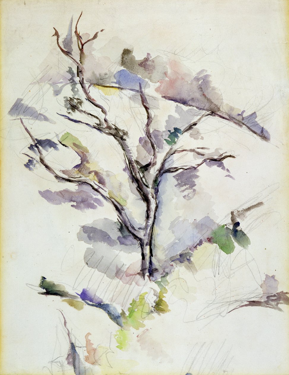Meşe by Paul Cézanne