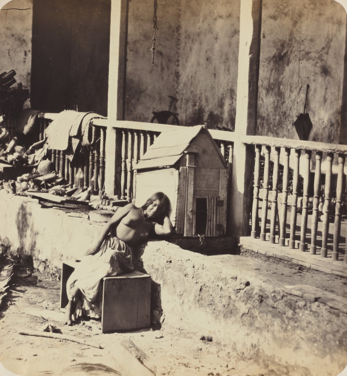 Garvel Martinik köpeği, 1870