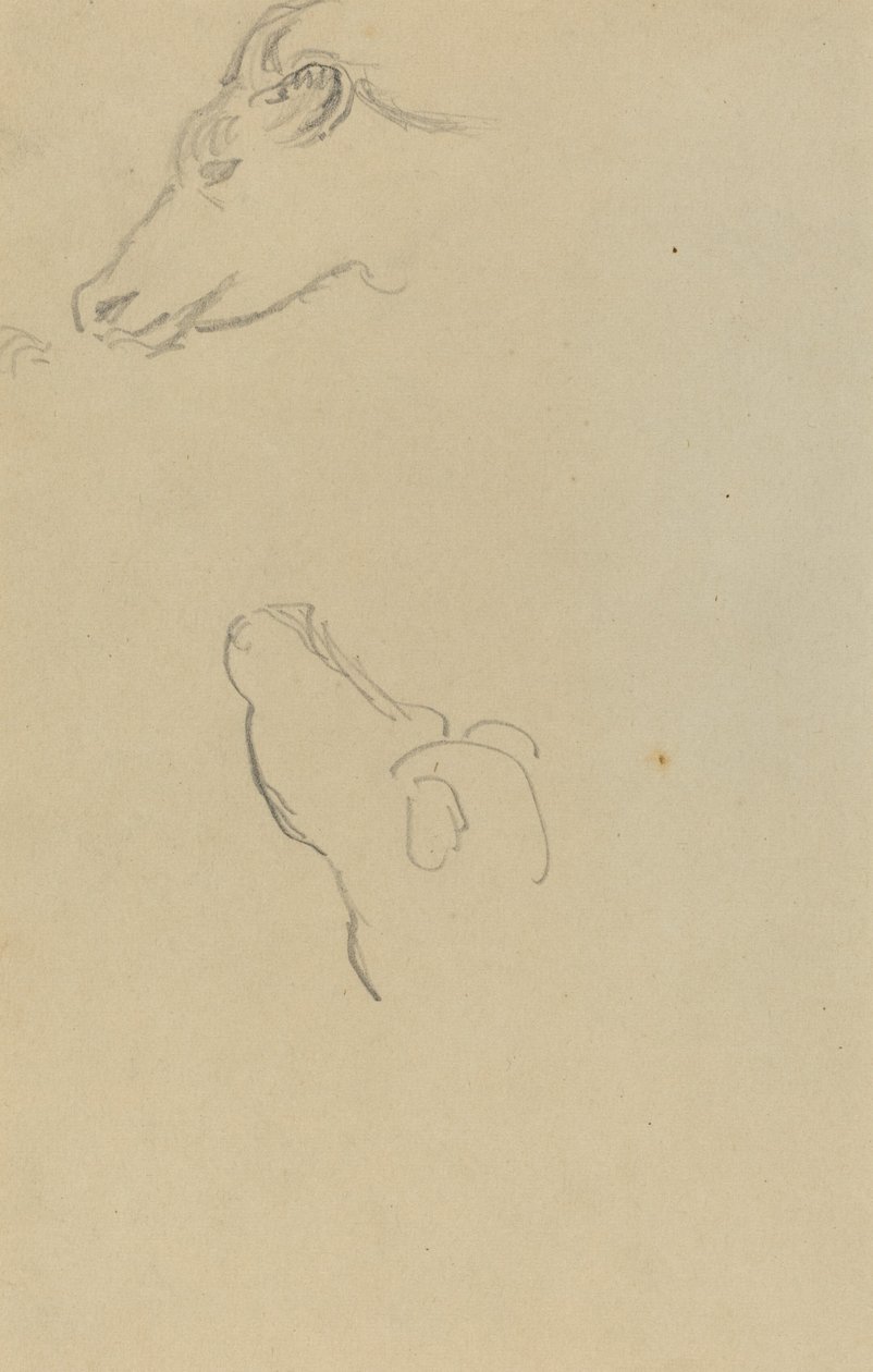 İnek Başı [rekto] by Paul Gauguin