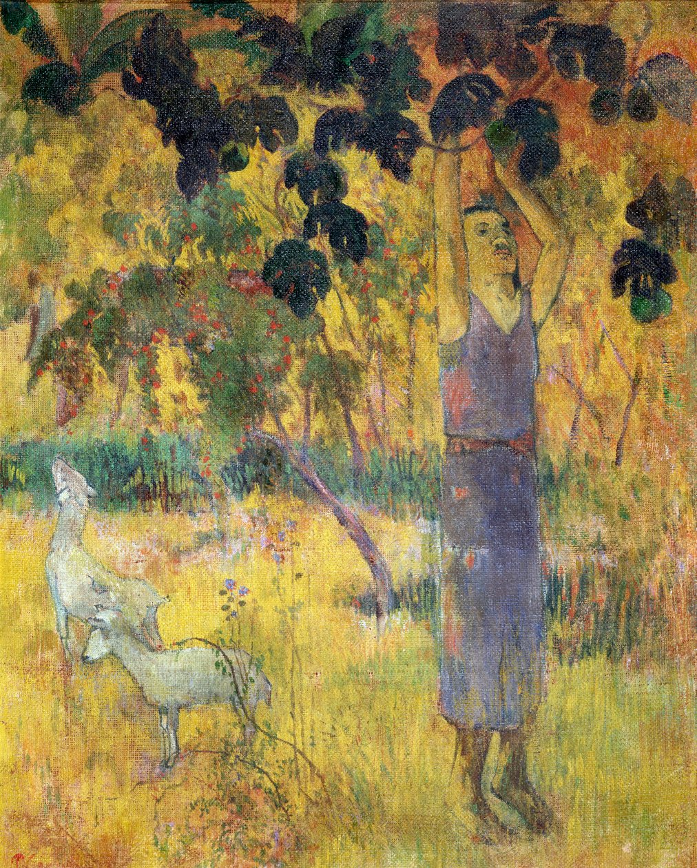Ağaçtan Meyve Toplayan Adam, 1897. by Paul Gauguin