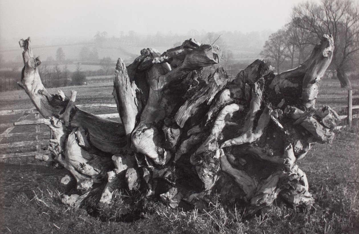  by Paul Nash
