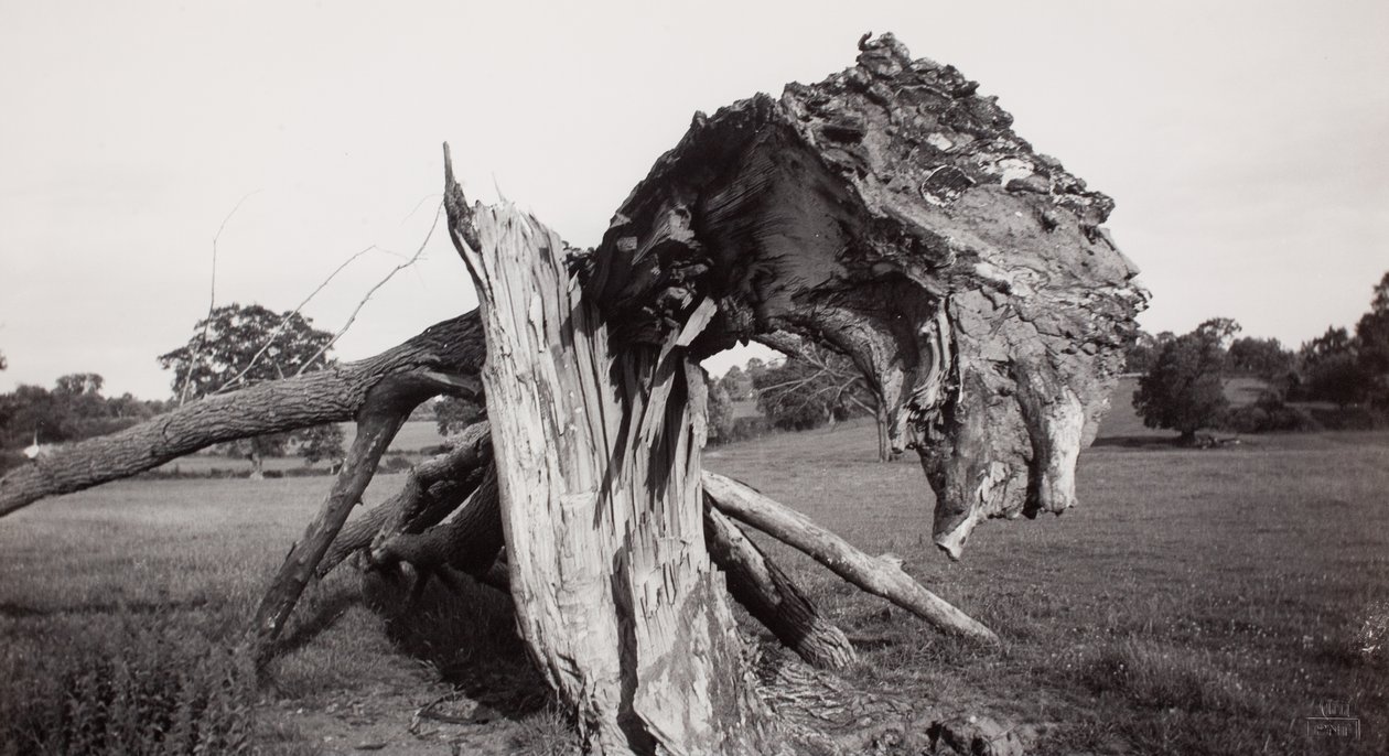  by Paul Nash