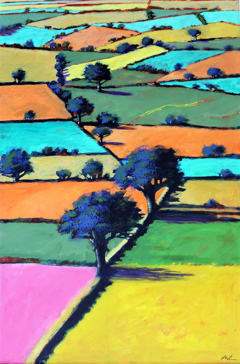 Burcome (gemide akrilik) by Paul Powis