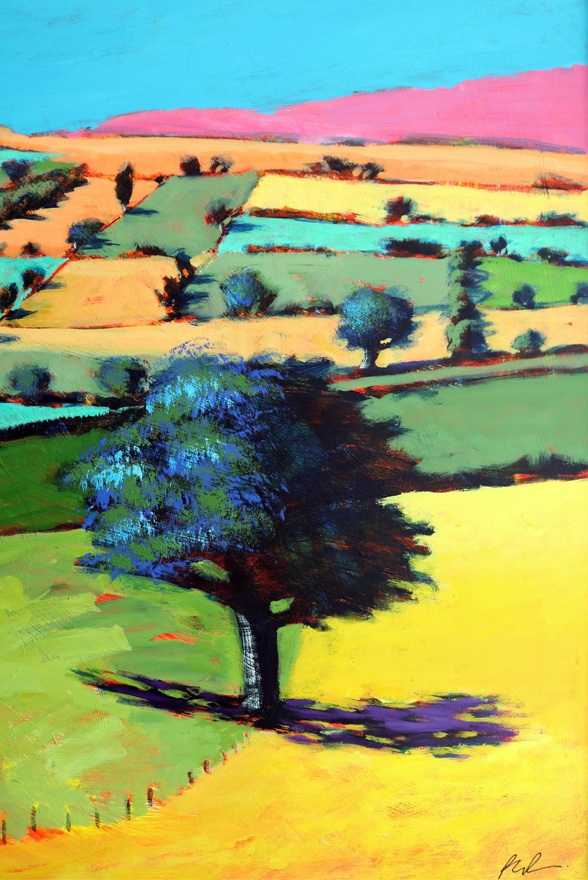 Coombe yakın çekim 1 (gemide akrilik) by Paul Powis
