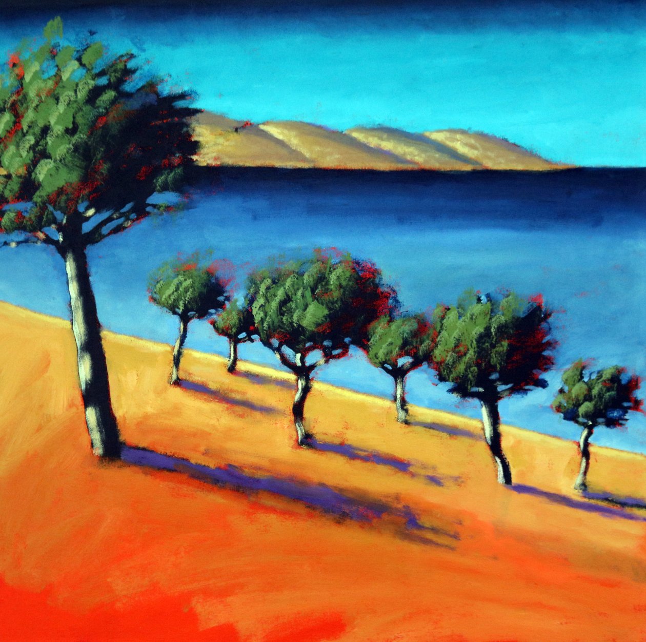 Körfez by Paul Powis