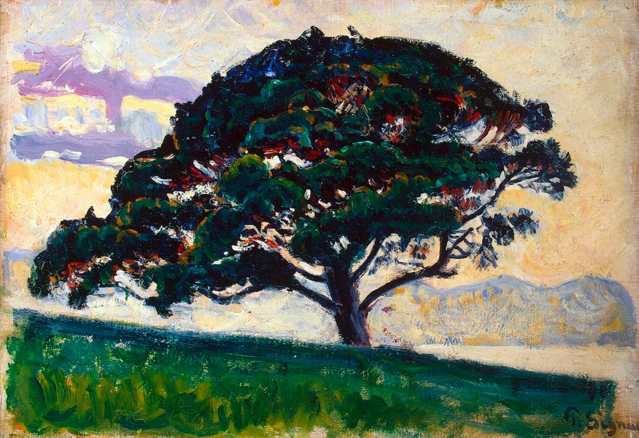 Büyük Çam, Saint-Tropez, 1892-1893. by Paul Signac