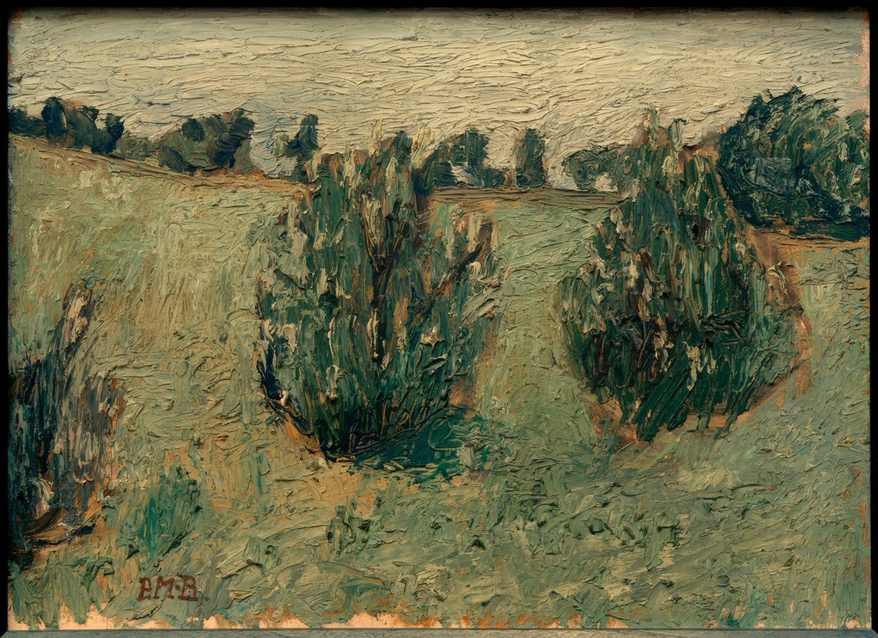 Çam ağaçları ile manzara by Paula Modersohn Becker
