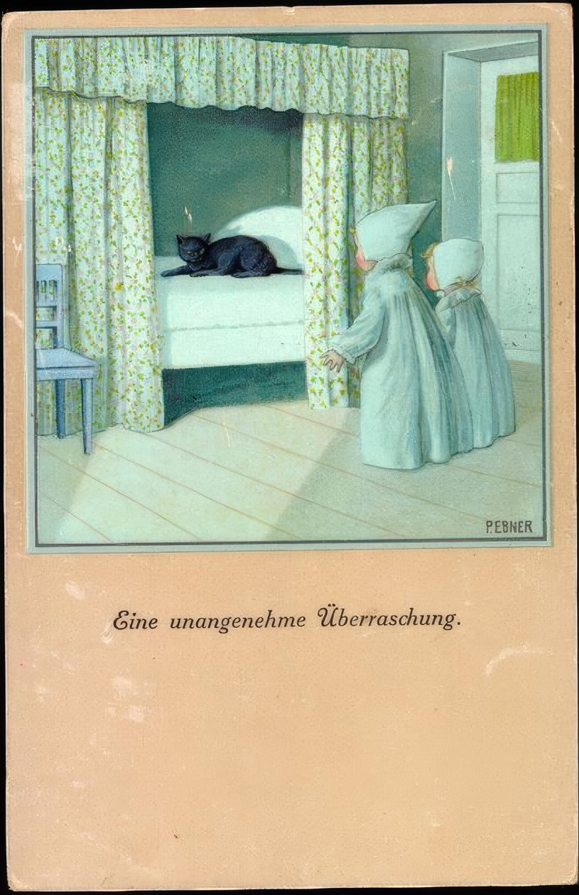 Hoş olmayan bir sürpriz by Pauli Ebner