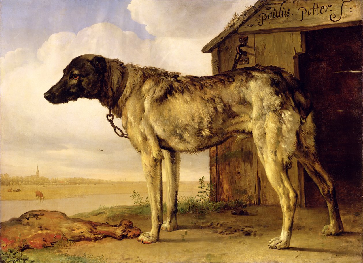 Zincirdeki Köpek, 1653-4 by Paulus Potter