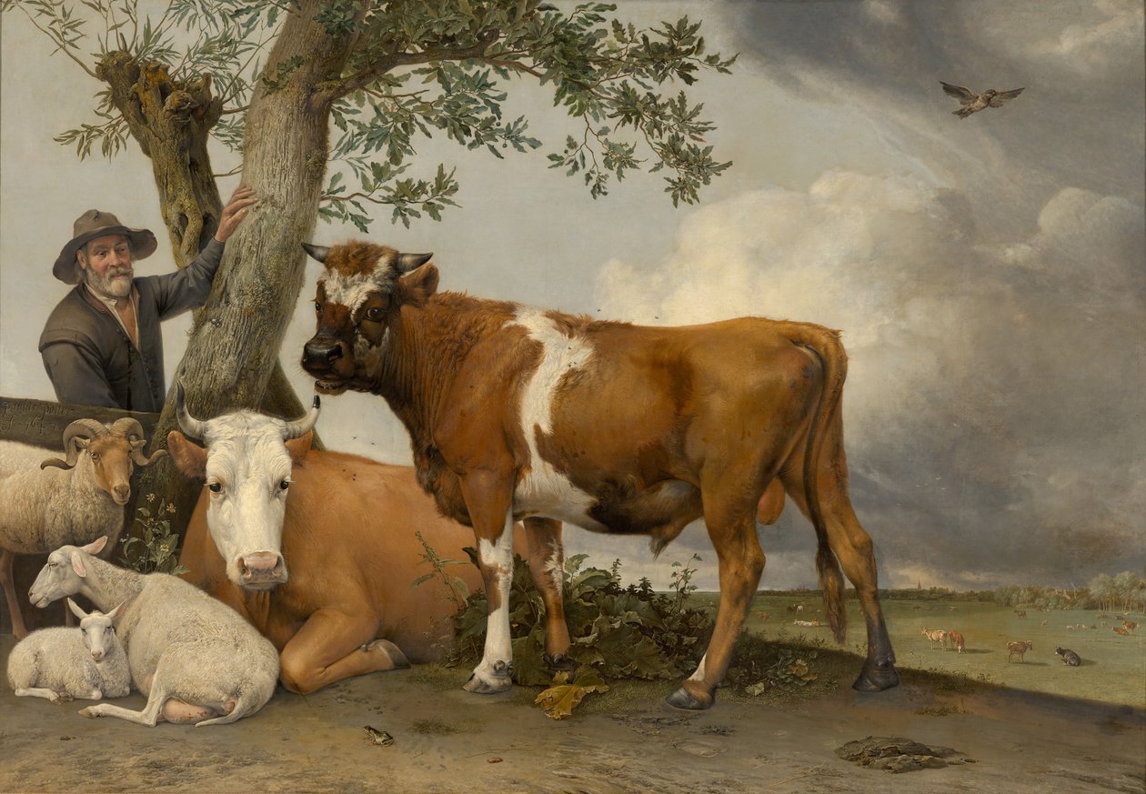 Boğa, 1647 by Paulus Potter