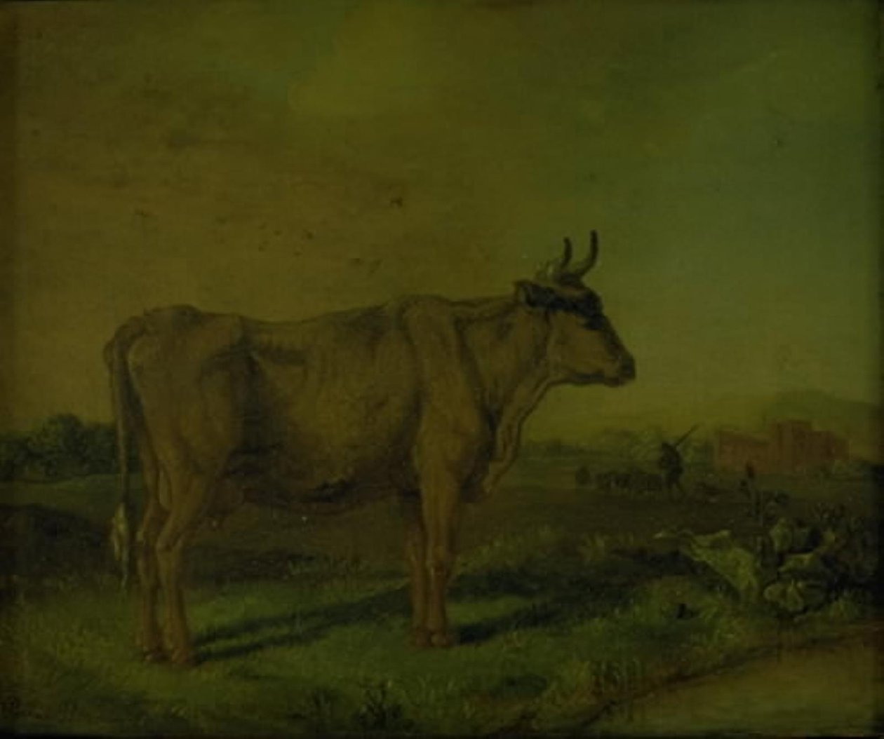 Bir inek by Paulus Potter