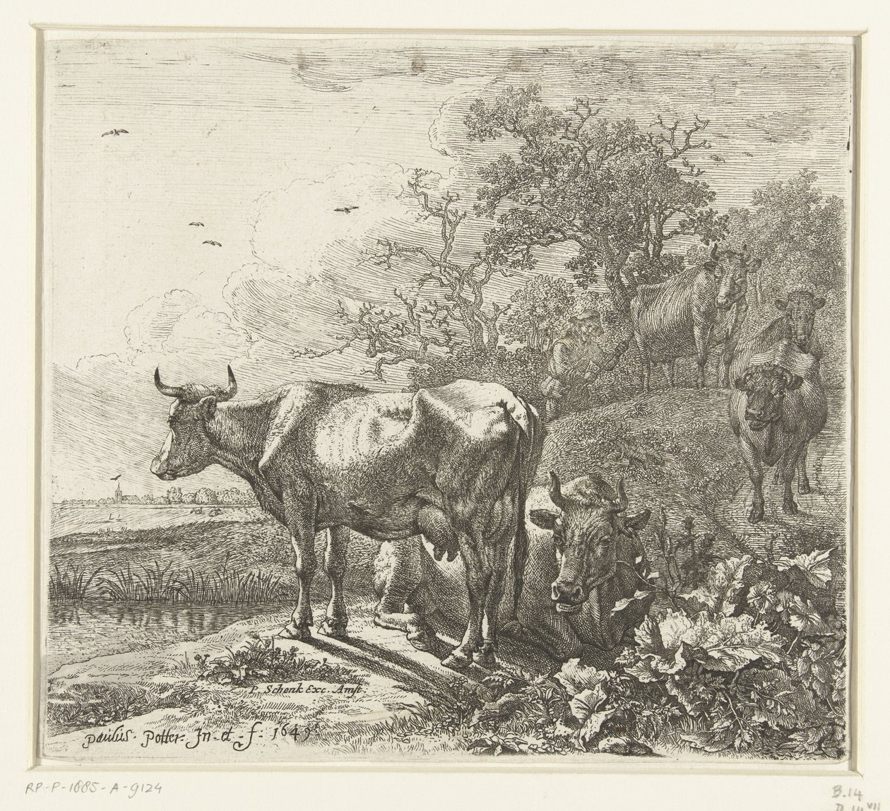 çoban by Paulus Potter