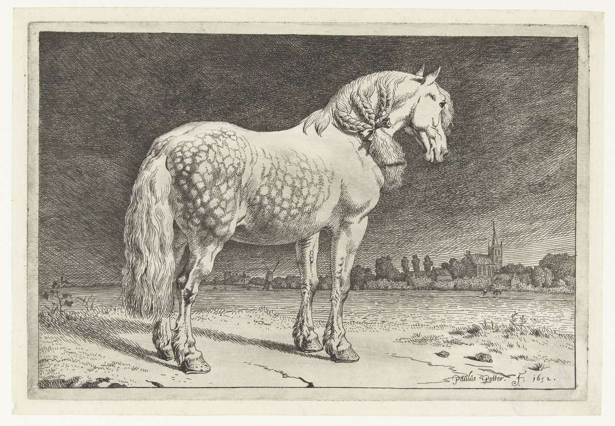 Frizyalı at Atlar (dizi adı) by Paulus Potter