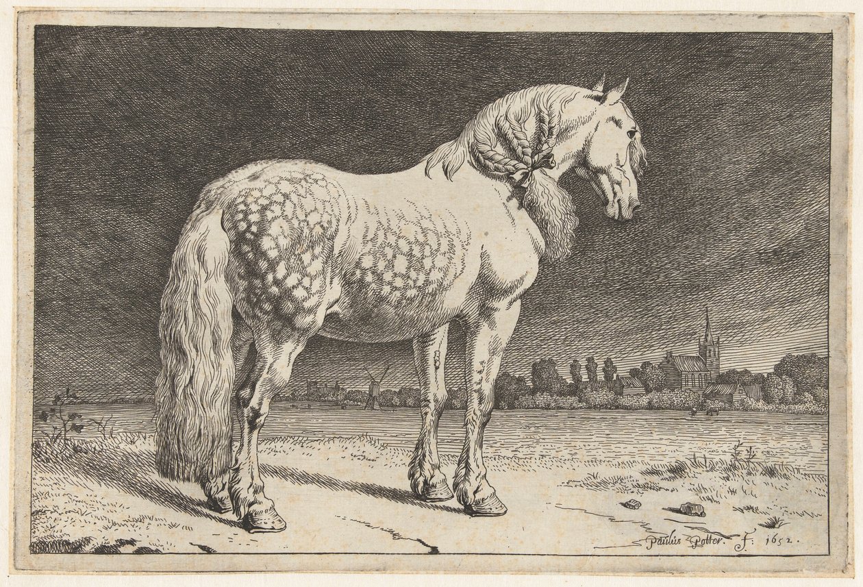 Frizyalı at Atlar (dizi adı) by Paulus Potter