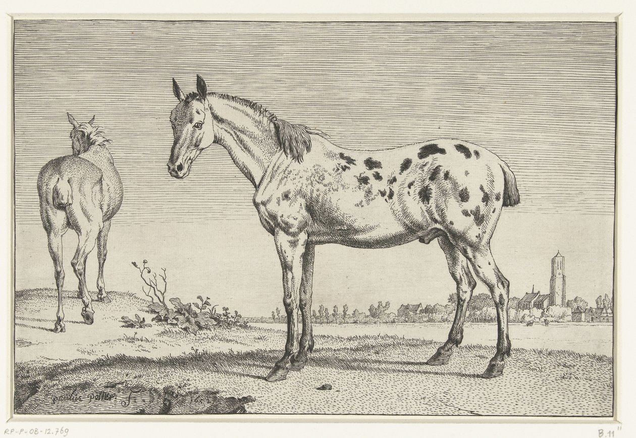 demirli at Atlar (dizi adı) by Paulus Potter