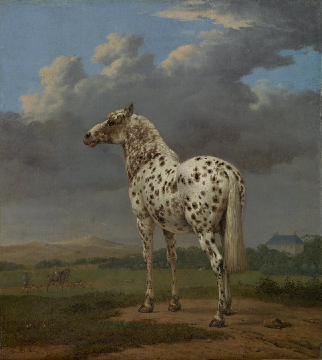 Benekli At, yaklaşık 1654 by Paulus Potter