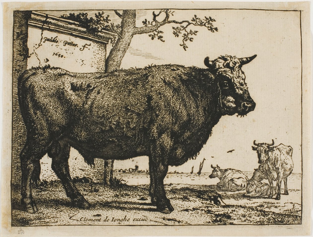 Boğa by Paulus Potter