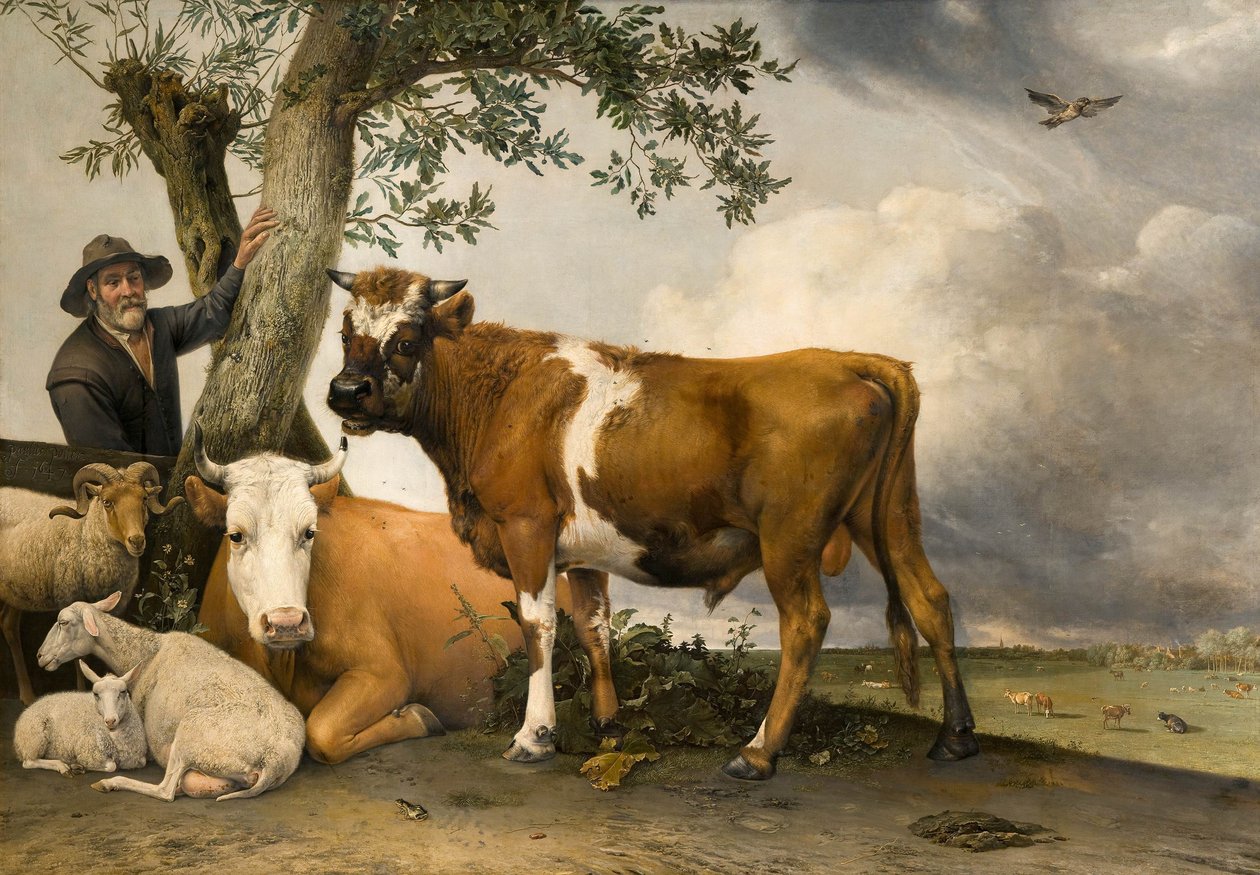 Boğa by Paulus Potter
