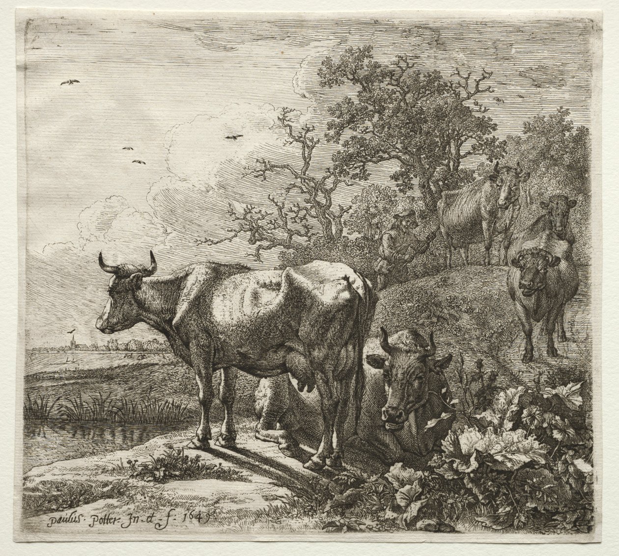 Çoban by Paulus Potter