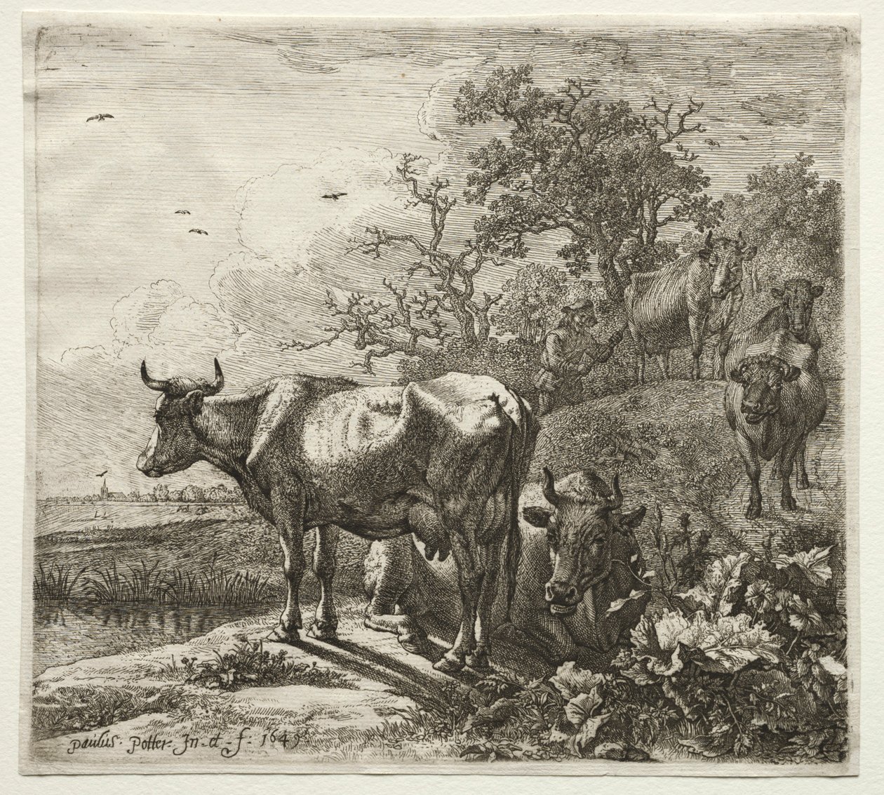 Çoban. by Paulus Potter