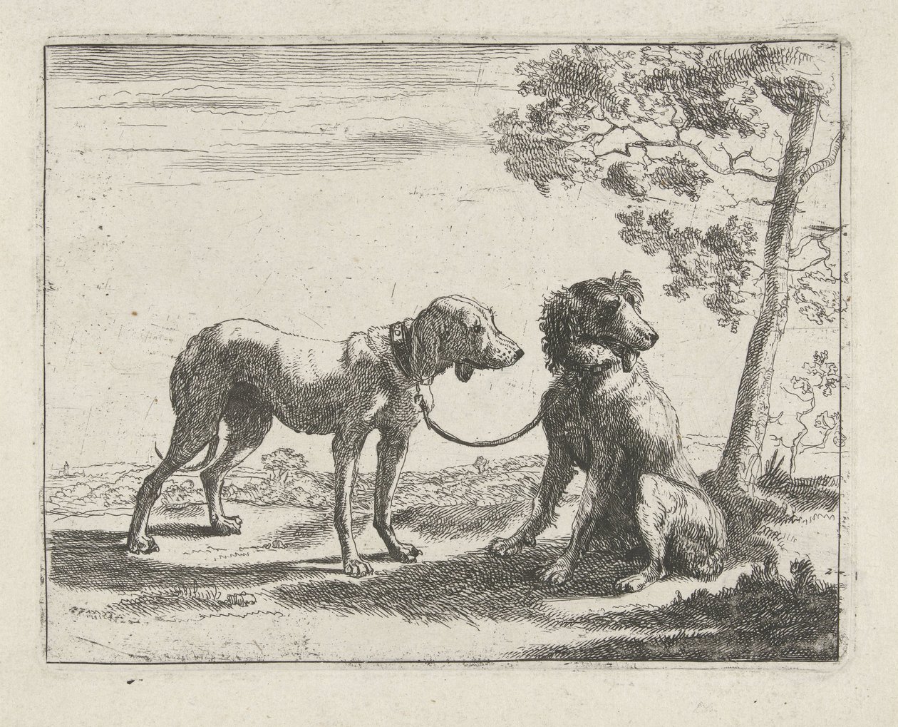 İki köpek Köpekler (dizi adı) by Pauwels van Hillegaert