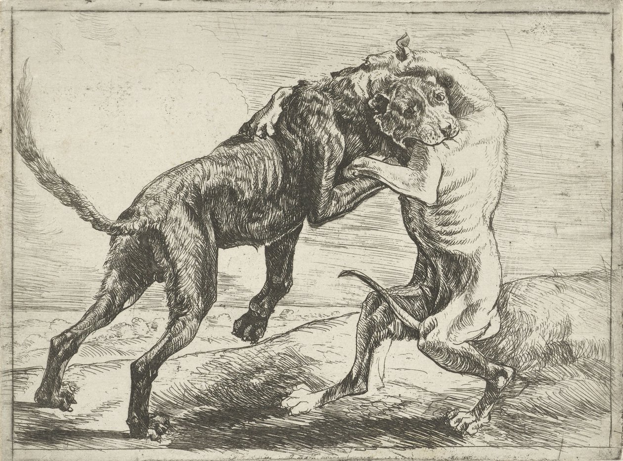 iki dövüş köpeği Köpekler (dizi adı) by Pauwels van Hillegaert